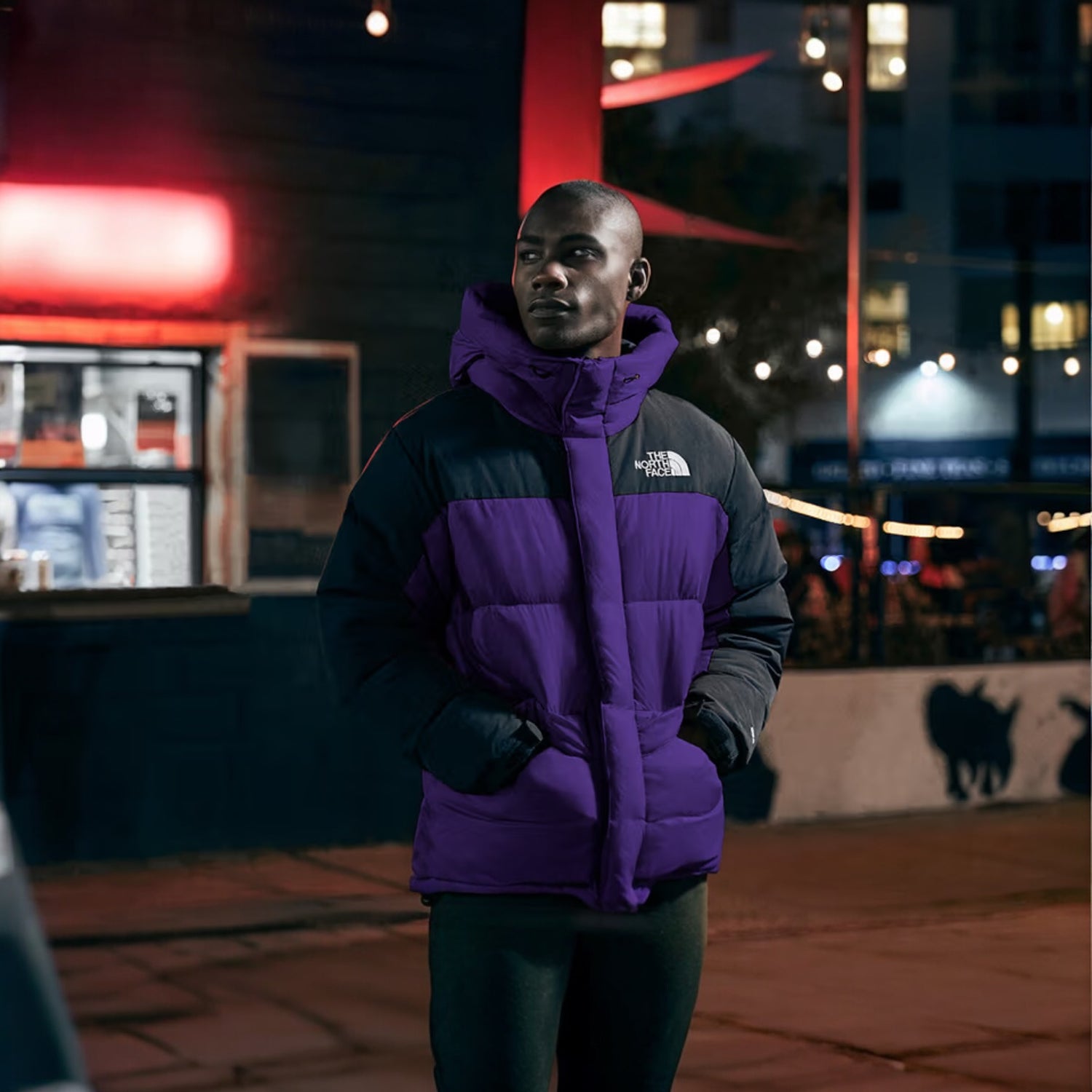 THE NORTH FACE